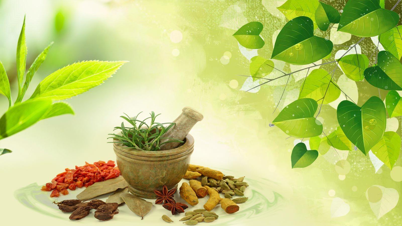 The Ayurveda Experience